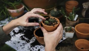 donna in giardinaggio con vaso