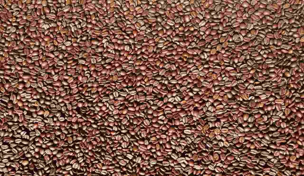 chicchi di caffè