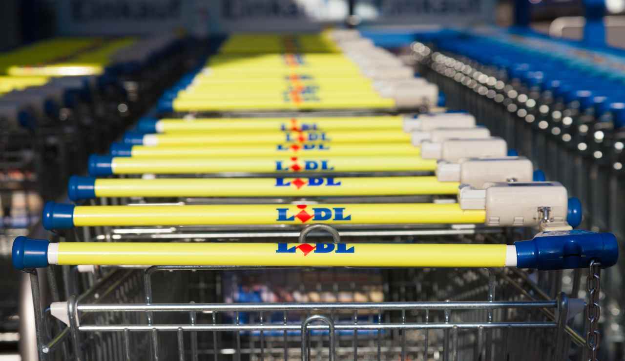 LIDL, i saldi sono già iniziati: vestito estivo e scarpe di tela a meno di 13€ | Outfit completo al prezzo di un aperitivo