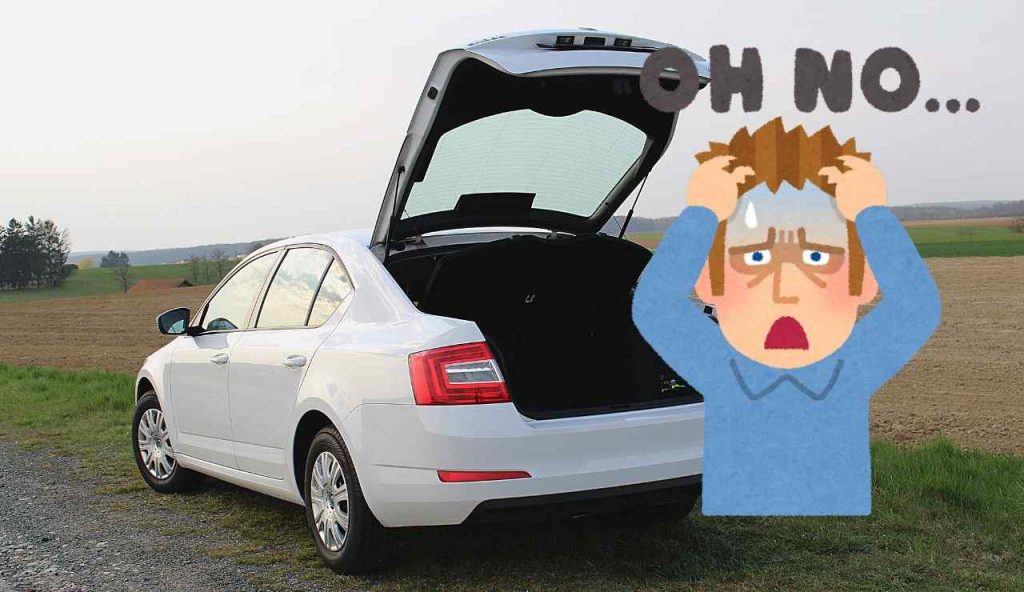 Controlli auto