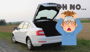 Controlli auto