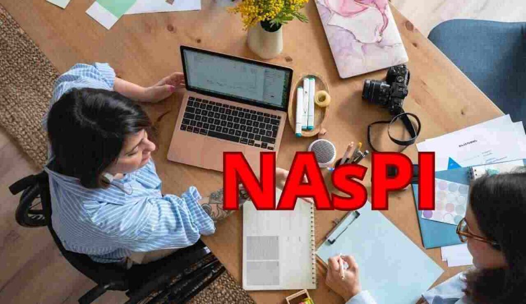 Naspi