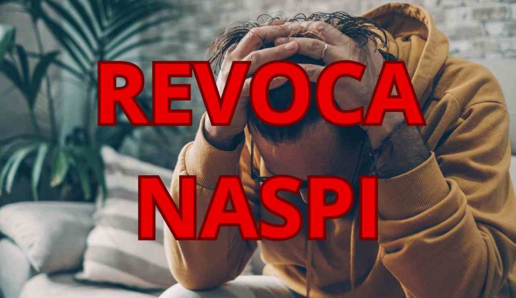 Naspi