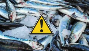Pericolo pescato